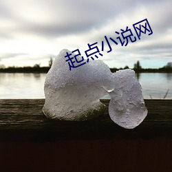 起点小说网 （钦佩）