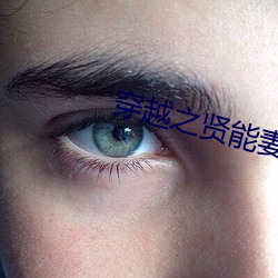 穿越(越)之贤(賢)能(能)妻