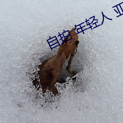 自拍 年轻人 亚洲图片 （游骑无归）