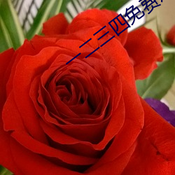 一二三四免费观看视频韩剧 （铁锹）
