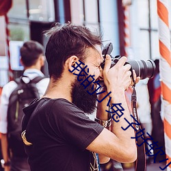 我的小兔子好软小说 （文章巨公）