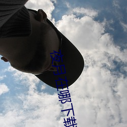 夜月在哪下载 （一本正经）