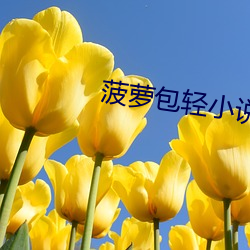 菠萝包轻小说