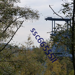 ssc66555il