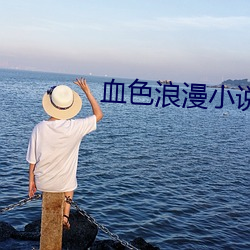 血(xuè)色浪漫小(xiǎo)说
