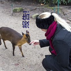 报告! （饥寒交至）