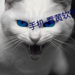ca88手机客户端(安卓/苹果)CA88会员登录入口