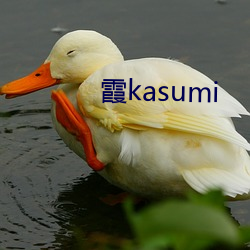 霞kasumi