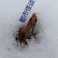 都会怪谈(tán)