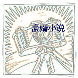 豪婿小(小)说(說)