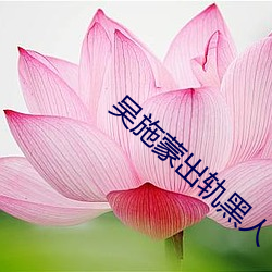 吴施蒙(蒙)出轨黑(黑)人