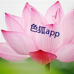 色狐app