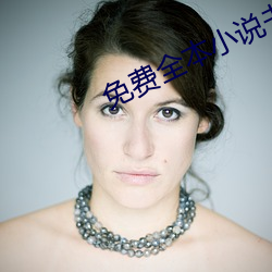 免费(費)全本小说书城(城)旧(舊)版本红(紅)色封面(面)