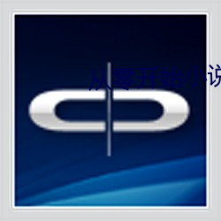 从零开始小说
