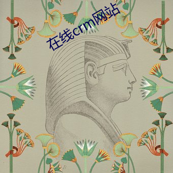 在线crm网站(zhàn)