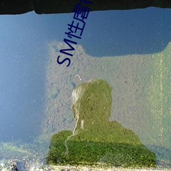 SM性虐待APP