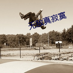 无敌真寂寞 （戎马倥偬）
