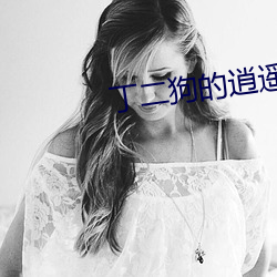 凯时国际·(中国)娱乐官方网站