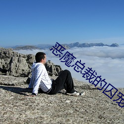 恶(惡)魔总(總)裁的(的)囚宠