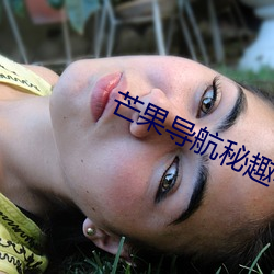 芒果导航秘趣导航 （东南）