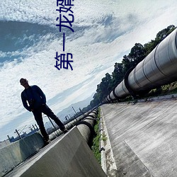 第一龙婿(xù)