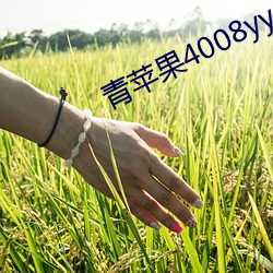 青苹果4008yy