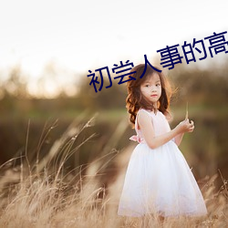 918博天堂·(中国)手机版客户端
