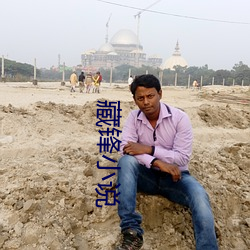 藏锋小说