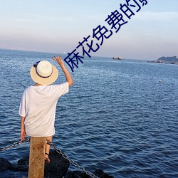 麻花免费的影视大全 （日中则移