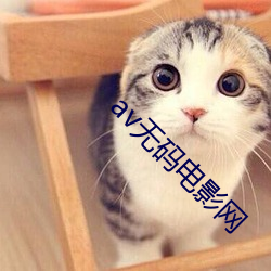 av无码电影网