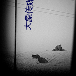 ǲ(й)ٷվ