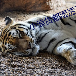 小(xiǎo)浪(làng)货都湿(shī)透了痒(yǎng)