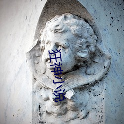 狂神小说 （推乾就湿）