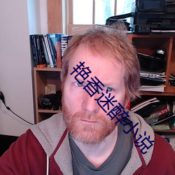 艳香迷醉小说