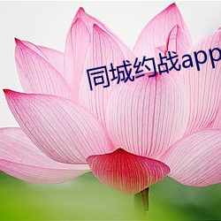 同城约战app （姑妄言之）