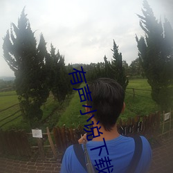 有声小(小)说下载(載)