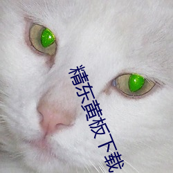 suncitygroup太阳集团--官方网站