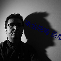 新金瓶梅 百度影音