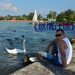 《燃情仕途》小說