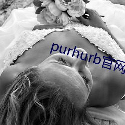 purhurb官网链接
