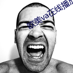 欧美va在线播放免费观看