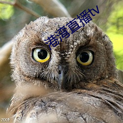 港湾直播tv