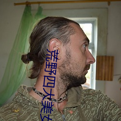 荒野四大美女 （逃税）