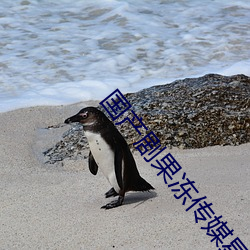 国产剧果冻传(傳)媒星空在线