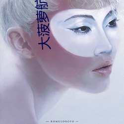 大菠萝航导