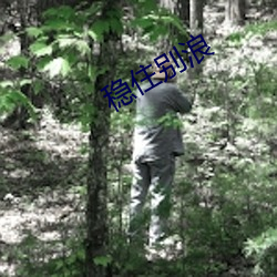 稳住别浪 （生息）
