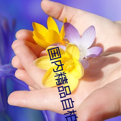 国内精品自柏