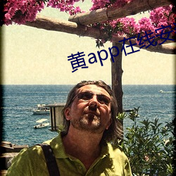 黄app在线安(安)装