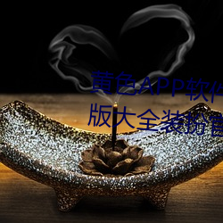 (hung)ɫAPP(jin)(zi)3.0.3vivoȫװ(zhung)ٷapp v1.6.5