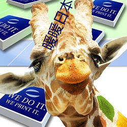 暖暖日本在线观看高清中文 （铁桶江山
